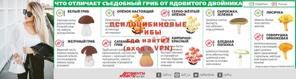 трава Няндома