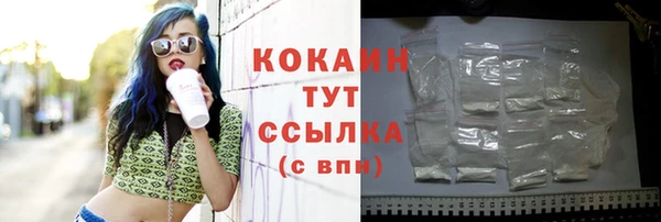 трава Няндома