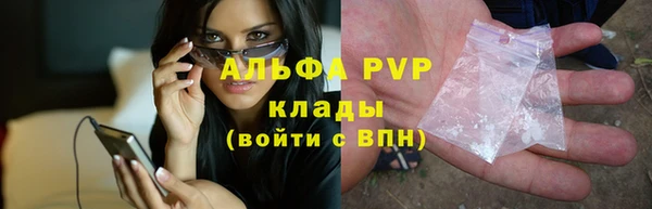 трава Няндома