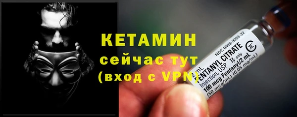 трава Няндома
