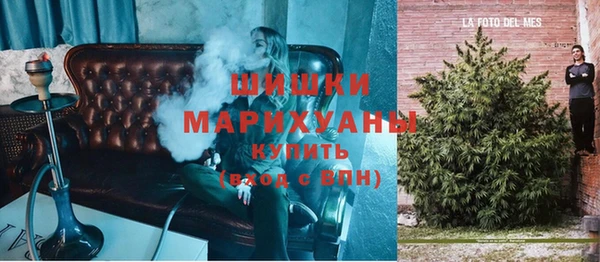 трава Няндома