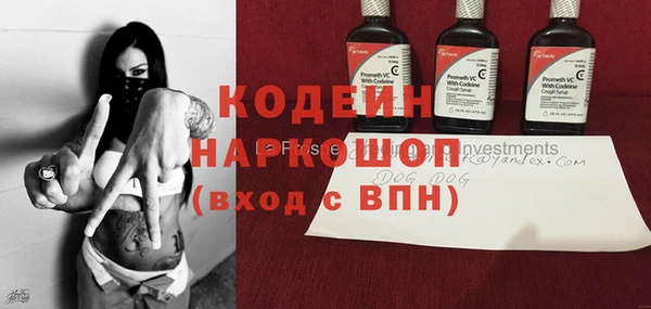 трава Няндома