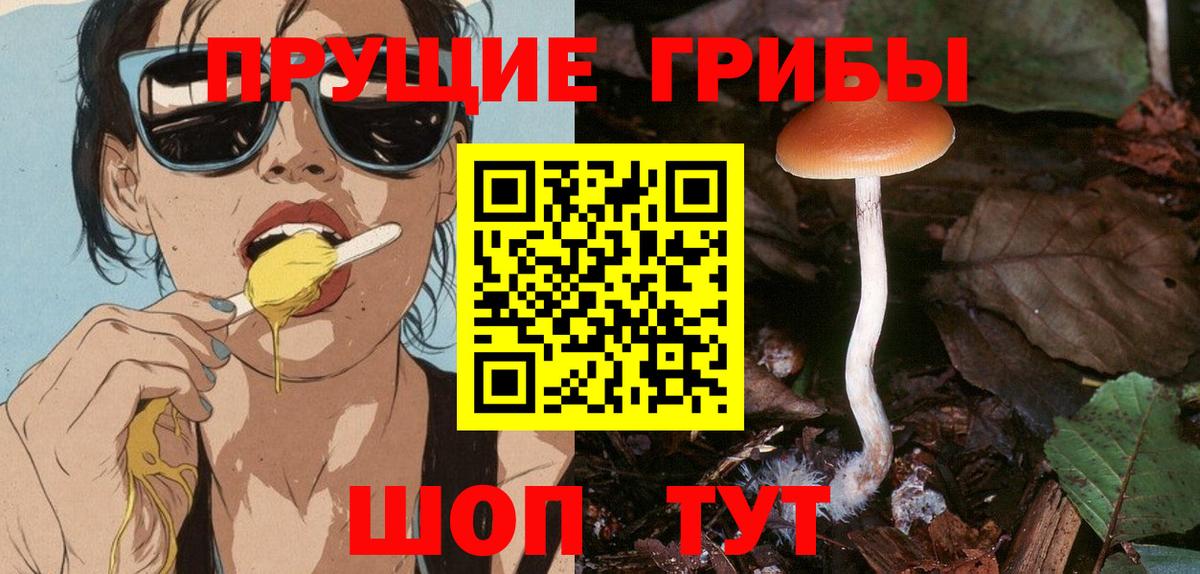 Галлюциногенные грибы мухоморы  Вход с VPN  Сыктывкар  Галлюциногенные грибы мицелий 