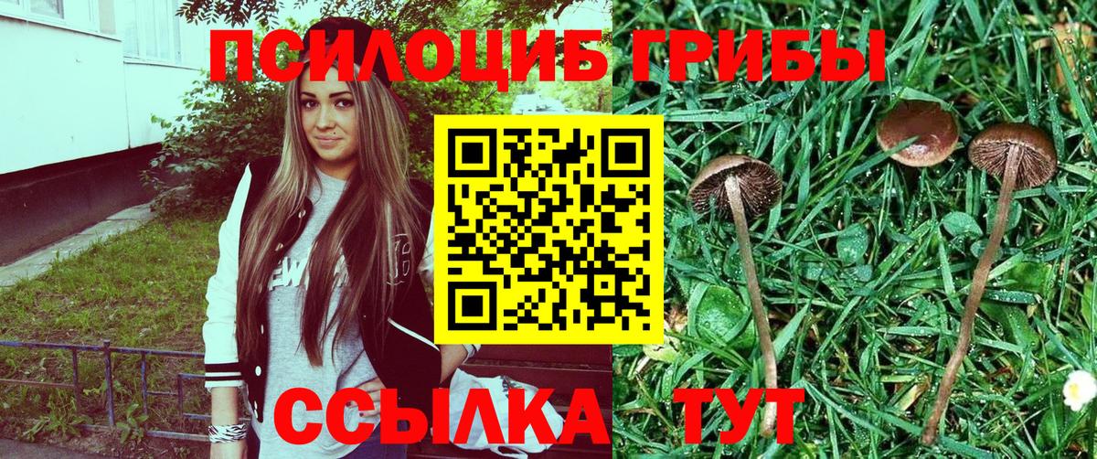 Меф Сыктывкар
