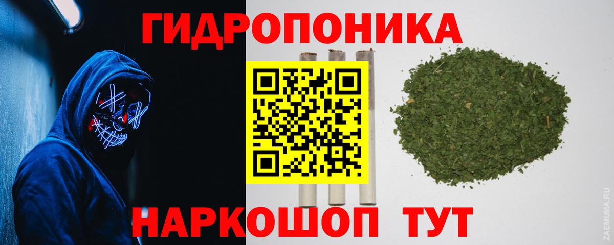 Шишки марихуана MAZAR Сыктывкар